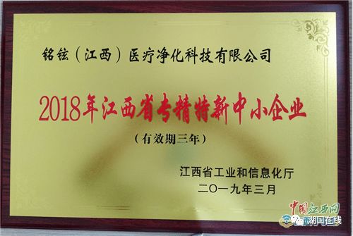江西省專精特新中小企業(yè)認定與江西中小企業(yè)網(wǎng)站建設